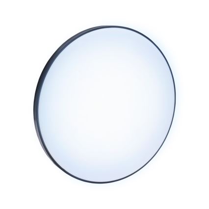 LED Екстериорен плафон NYMPHEA LED/32W/230V IP54 6000K