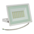 LED Екстериорен прожектор NOCTIS LUX 3 LED/30W/230V 4000K IP65 бял