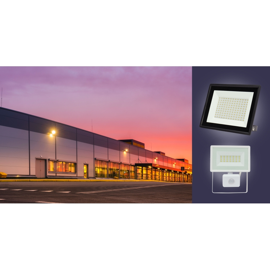 LED Екстериорен прожектор NOCTIS LUX 3 LED/30W/230V 4000K IP65 бял