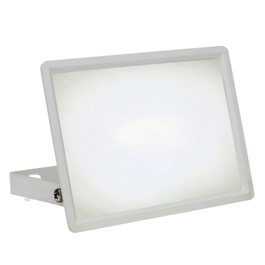 LED Екстериорен прожектор NOCTIS LUX 3 LED/30W/230V 4000K IP65 бял