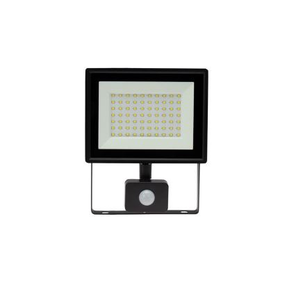 LED Екстериорен прожектор със сензор NOCTIS LUX 3 LED/50W/230V 4000K IP44 черен