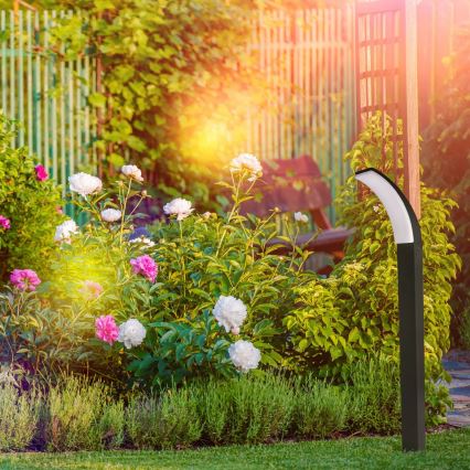 LED Екстериорна лампа AMY LED/12W/230V 100 см IP44 черен