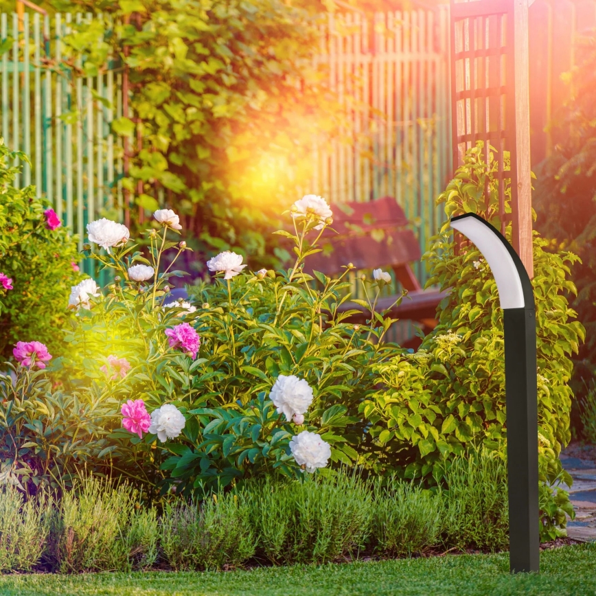 LED Екстериорна лампа AMY LED/12W/230V 100 см IP44 черен