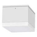 LED Екстериорна лампа BRUNO LED/10W/230V IP54