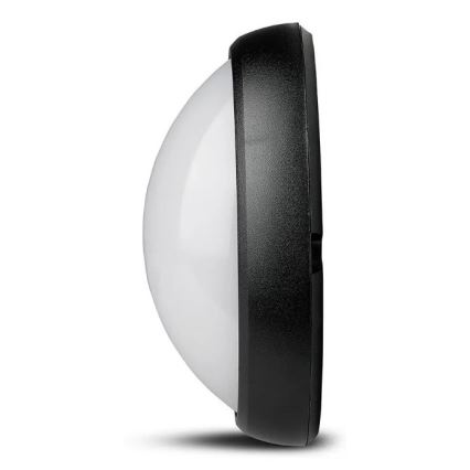 LED Екстериорна лампа LED/12W/230V IP54