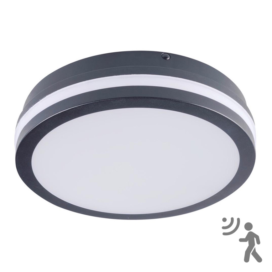 LED Екстериорна лампа със сензор BENO LED/18W/230V 4000K антрацит IP54