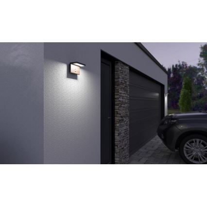LED Екстериорен аплик със сензор NATURA LED/12W/230V 4000K IP54 кафяв/антрацит