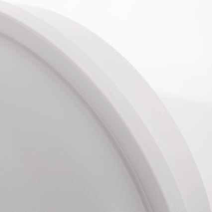 LED Екстериорна лампа за таван LED/20W/230V IP65