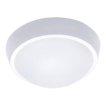 LED Екстериорна Стенна лампа 1xLED/18W/230V  IP65