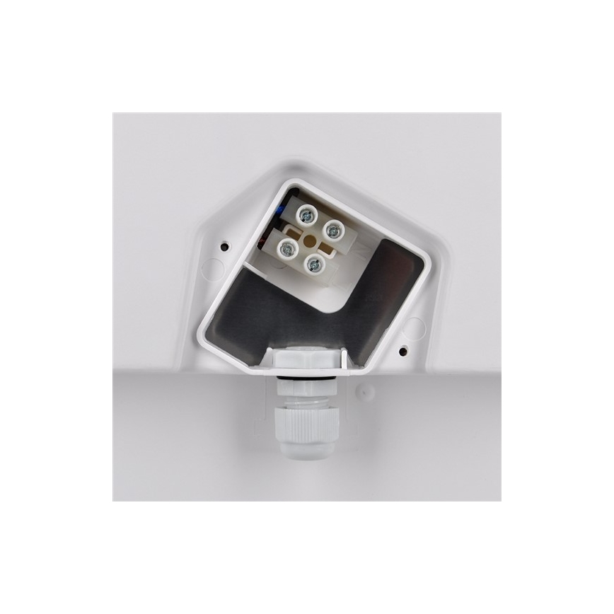 LED Екстериорна Стенна лампа 1xLED/18W/230V  IP65