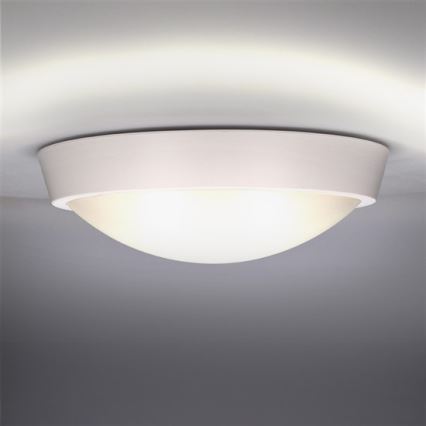 LED Екстериорна Стенна лампа 1xLED/18W/230V  IP65