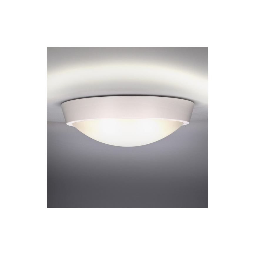 LED Екстериорна Стенна лампа 1xLED/18W/230V  IP65