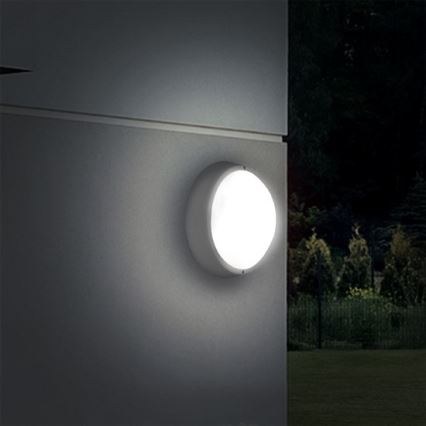 LED Екстериорна Стенна лампа 1xLED/18W/230V  IP65