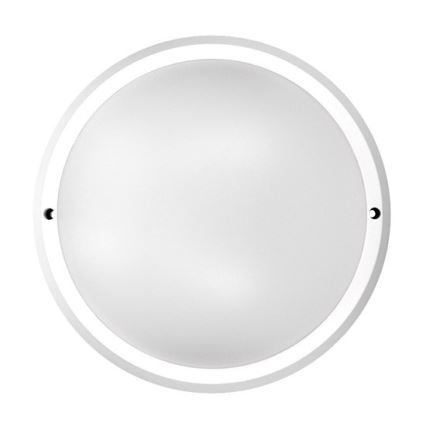 LED Екстериорна Стенна лампа 1xLED/30W/230V  IP65