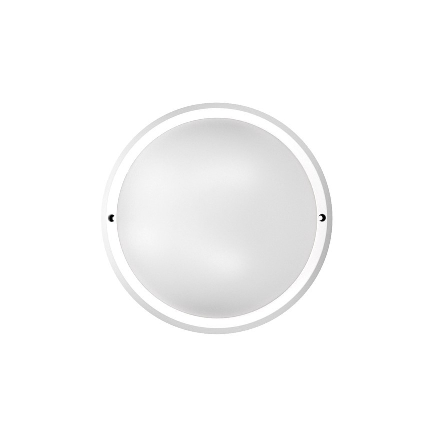 LED Екстериорна Стенна лампа 1xLED/30W/230V  IP65