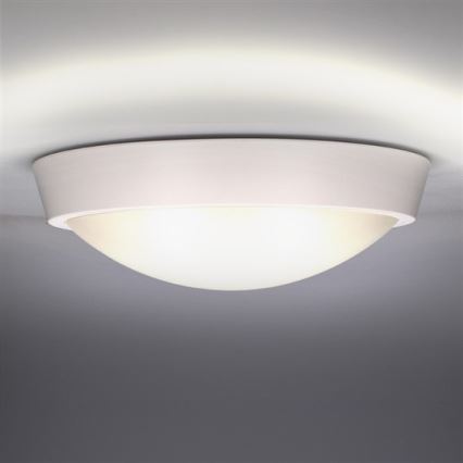 LED Екстериорна Стенна лампа 1xLED/30W/230V  IP65
