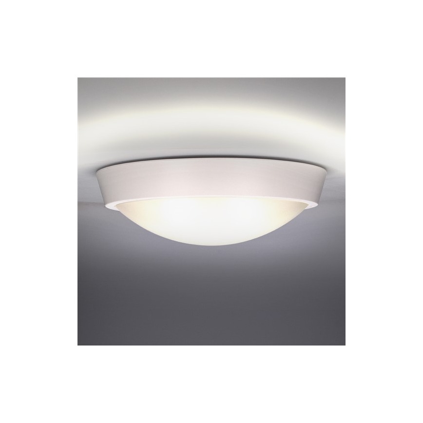 LED Екстериорна Стенна лампа 1xLED/30W/230V  IP65