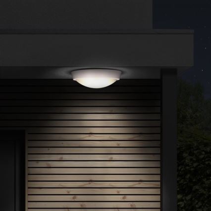 LED Екстериорна Стенна лампа 1xLED/30W/230V  IP65
