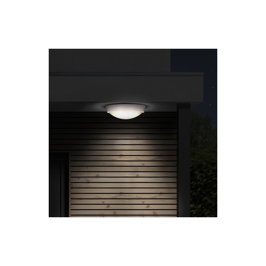 LED Екстериорна Стенна лампа 1xLED/30W/230V  IP65