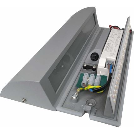 LED Екстериорна Стенна лампа LED/10W/230V IP54