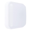 LED Екстериорна Стенна лампа LED/13W/230V IP54