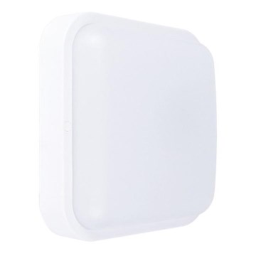 LED Екстериорна Стенна лампа LED/13W/230V IP54