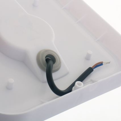 LED Екстериорна Стенна лампа LED/20W/230V IP54 