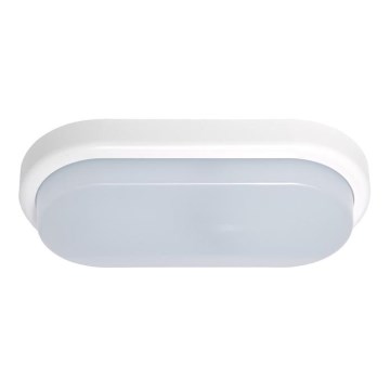 LED Екстериорна Стенна лампа OVAL LED/18W/230V IP54