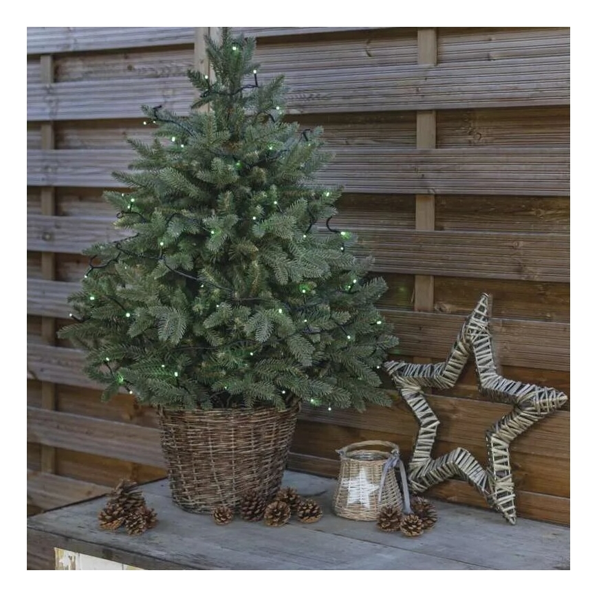 LED Екстериорни Коледни лампички 100xLED/10m IP44 зелен