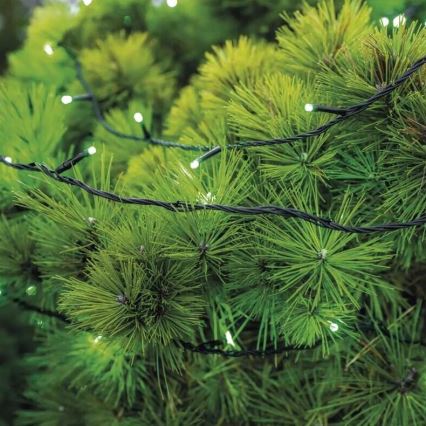 LED Екстериорни Коледни лампички 100xLED/10m IP44 зелен