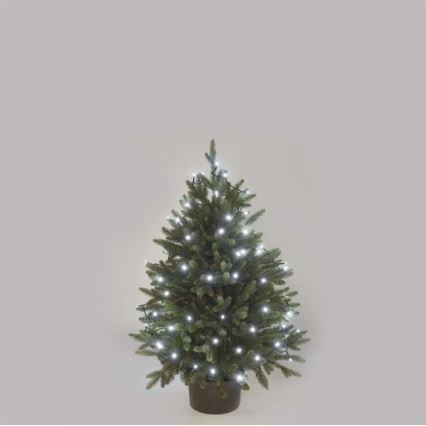 LED Екстериорни Коледни лампички 40xLED/9м IP44 студено бяло