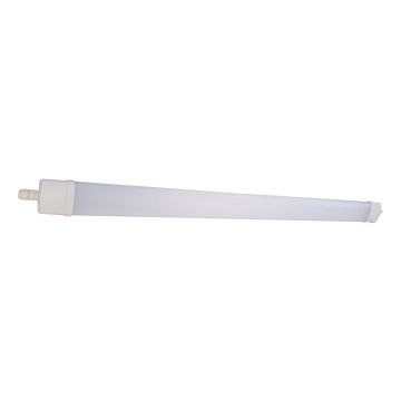 LED Флуоресцентна лампа DAISY LED/60W/230V 4000K IP65