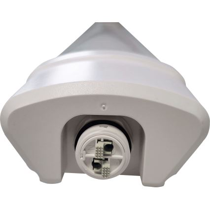 LED Флуоресцентна лампа DAISY LED/80W/230V 4000K IP65