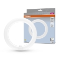 LED Флуоресцентна тръба G10q/11W/230V 4000K - Osram