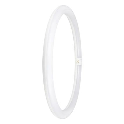 LED Флуоресцентна тръба G10q/24W/230V 6500K - Osram