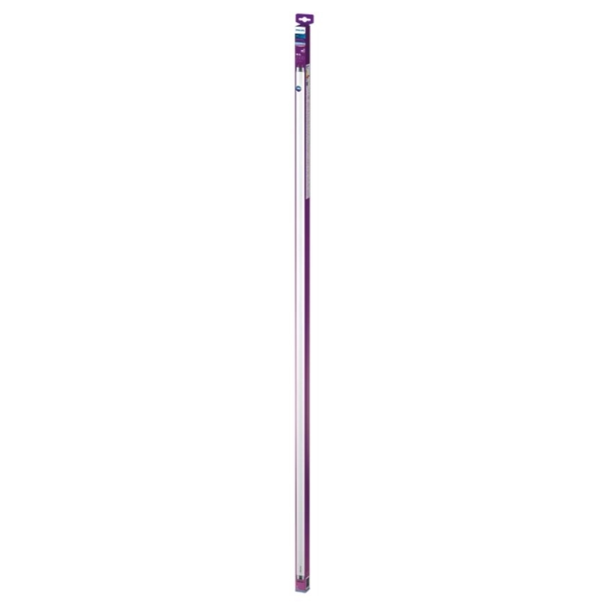 LED Флуоресцентна тръба Philips T8 G13/19,5W/230V 6500K 150 см