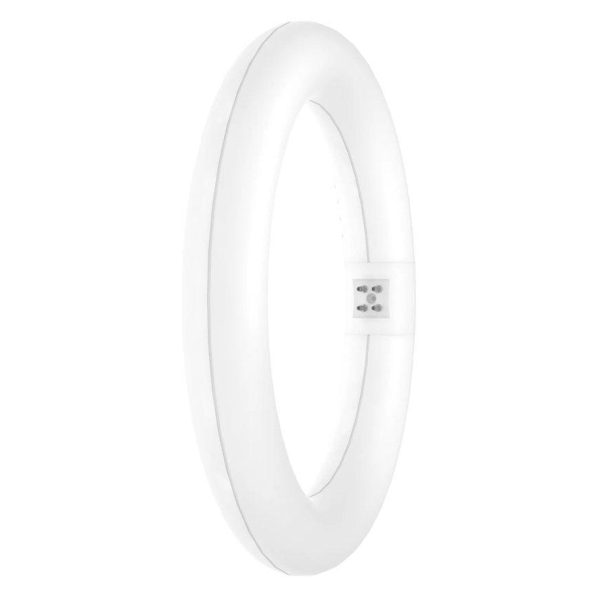 LED Флуоресцентна тръба SUBSTITUBE T9 G10q/12W/230V 4000K Ø 21,2 см - Osram