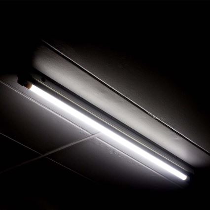 LED Флуоресцентна тръба T5 G5/8W/230V 6500K 60 см