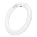 LED Флуоресцентна тръба T9 G24q-1/22W/230V 6500K - Aigostar
