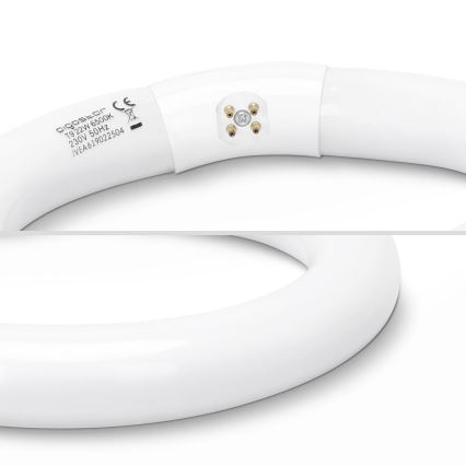 LED Флуоресцентна тръба T9 G24q-1/22W/230V 6500K - Aigostar