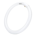 LED Флуоресцентна тръба T9 G24q-1/32W/230V 6500K - Aigostar