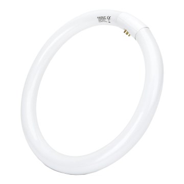 LED Флуоресцентна тръба T9 G24q-1/32W/230V 6500K - Aigostar