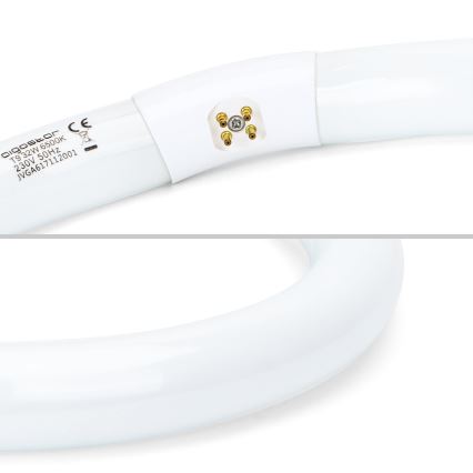 LED Флуоресцентна тръба T9 G24q-1/32W/230V 6500K - Aigostar