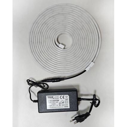 LED Гъвкав лента NEON LED/10W/230V 5 м IP65 бял