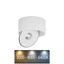 LED Гъвкав спот LED/20W/230V 3000/4000/6400K CRI 90 бял