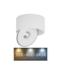 LED Гъвкав спот LED/28W/230V 3000/4000/6400K CRI 90 бял