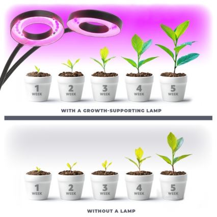 LED регулируема гъвкава настолна лампа с клипс за отглеждане на растения VITARO 2xLED/4W/230V черна