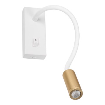 LED гъвкава настолна лампа TONIL LED/3,3W/230V бяла/златна