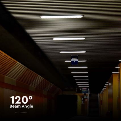 LED индустриална флуоресцентна лампа LED/48W/230V 6500K IP65 150 см