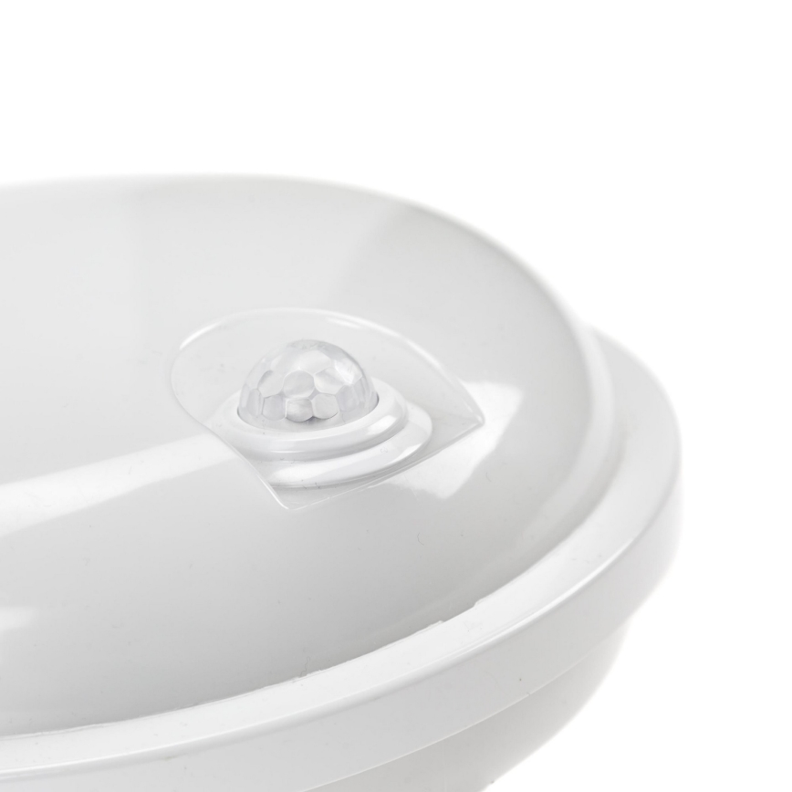 LED Индустриална лампа с PIR сензор LED/20W/230V IP54